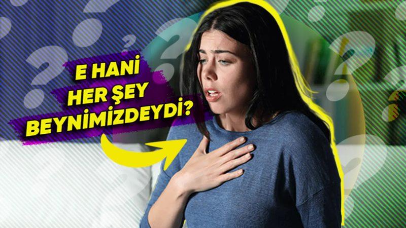 Göğsünüze Oturan Öküzün Bilimsel Açıklaması: Stres ve Kaygı Tamamen Beynimizdeyse Etkilerini Neden Vücudumuzda Yaşıyoruz?