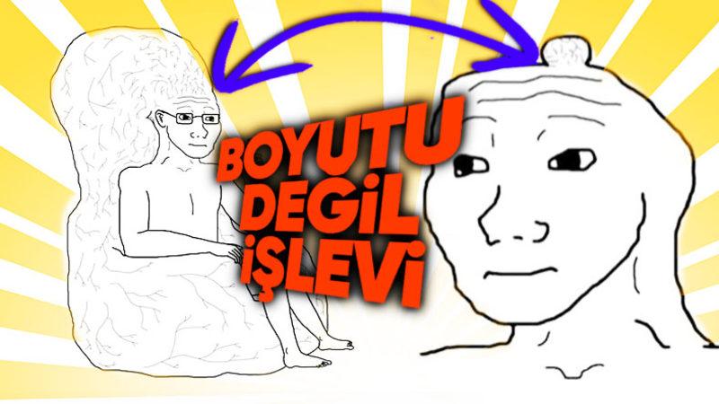 İnsan Beyninin Zamanla Küçülmesinin Ardındaki İlginç Gerçeği Açıkladık: Peki Bu Durum Zekâmızı Nasıl Etkiliyor?