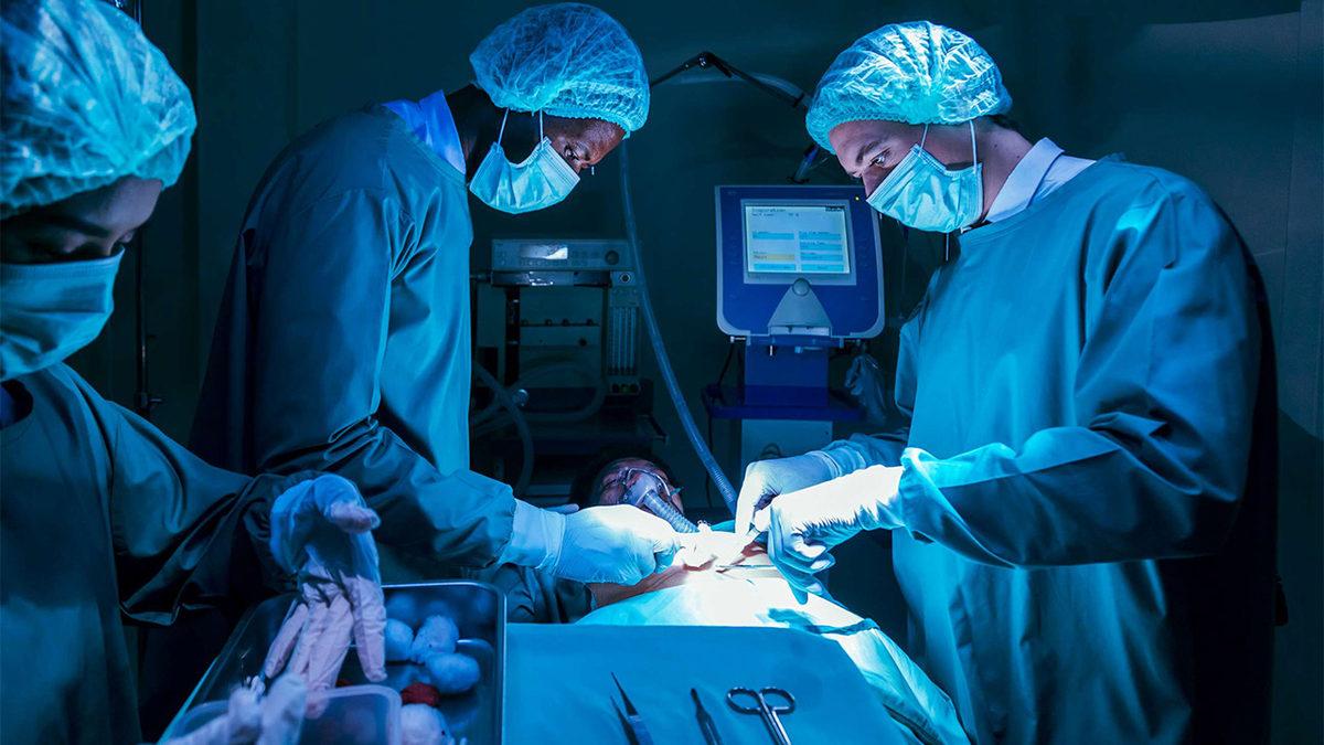 Nakledilen Bir Organ, Nakledildiği Kişiden Farklı Yaşta mı Kalır? Cevabı, Türkiye’de Hayat Bulmuş!