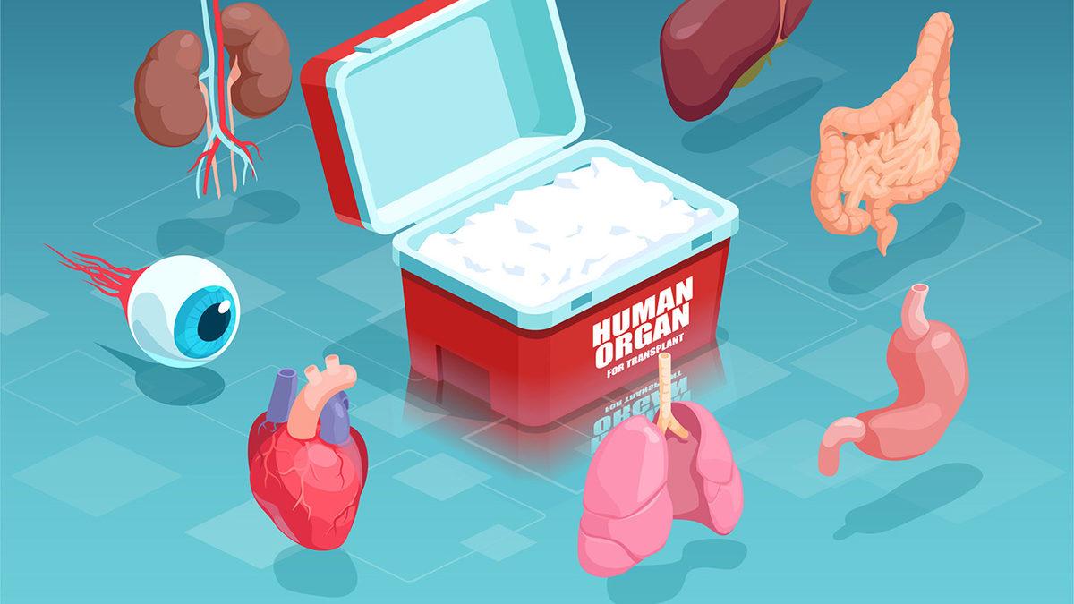 Nakledilen Bir Organ, Nakledildiği Kişiden Farklı Yaşta mı Kalır? Cevabı, Türkiye’de Hayat Bulmuş!