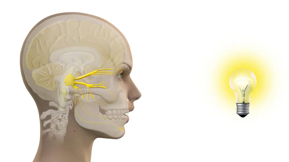 Güneşli Bir Günde Aniden Hapşırma Krizine Girdiğiniz Oluyor mu? Gelin Sebebini Anlatıyoruz