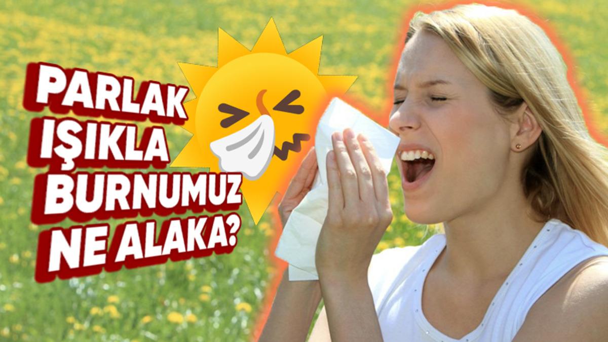 Güneşli Bir Günde Aniden Hapşırma Krizine Girdiğiniz Oluyor mu? Gelin Sebebini Anlatıyoruz