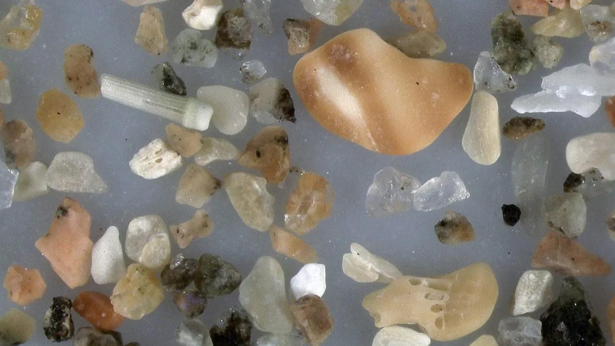 Plajlardaki Kumların Aslında Nereden Geldiğini Duyunca Ortamlarda Satacağınız Bir Bilgi Sahibi Daha Olacaksınız!