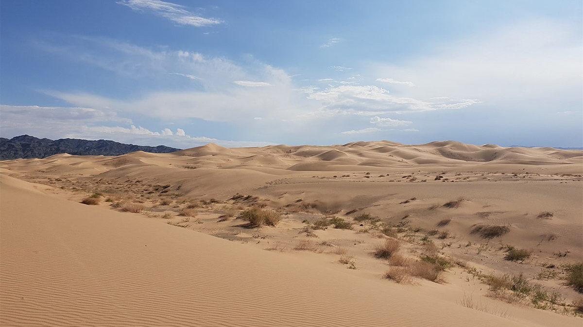 Çöller Neden Gündüzleri Kavurucu Sıcaklar Yaşarken Geceleri Buz Kesilir?