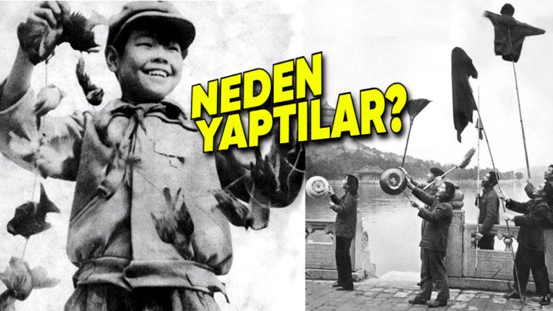 Çinliler 1958’de Serçelere Neden Toplu Katliam Yaptı? Karşılığını Tokat Gibi Aldılar!