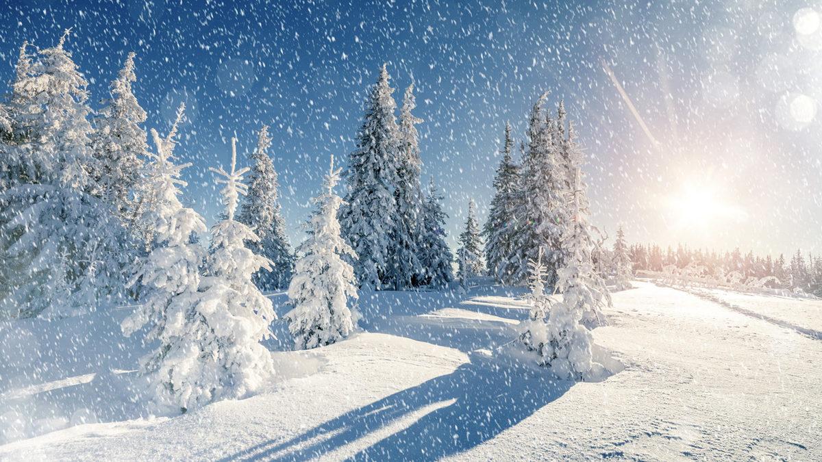 Kar Yağarken Neden Derin Bir Sessizlik Hissediyoruz? (Şimdiden Soğuk Günleri mi Özledik Ne!)