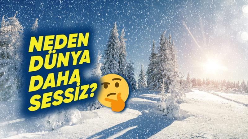 Kar Yağarken Neden Derin Bir Sessizlik Hissediyoruz? (Şimdiden Soğuk Günleri mi Özledik Ne!)