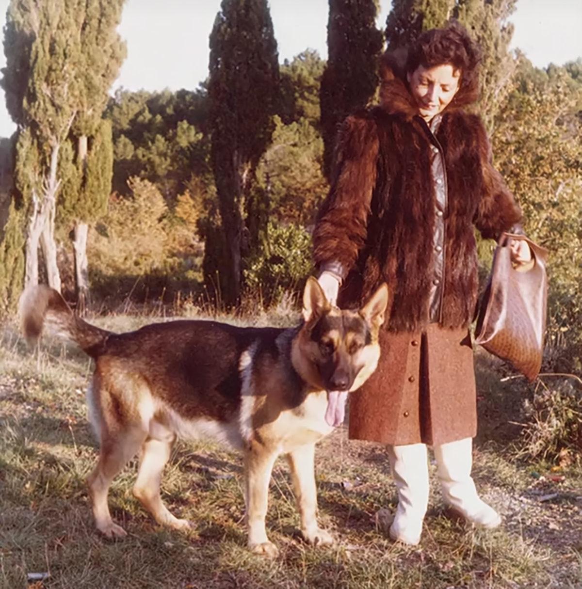 Bir Köpek, Madonna’nın Evi Dahil Birçok Şeyi Satın Alarak Nasıl Dünyanın En Zengin Köpeği Olabildi? Dönen Dolaplara İnanamayacaksınız!