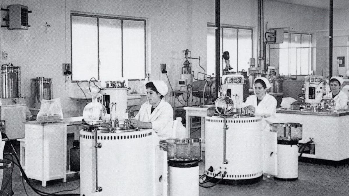 Bir Köpek, Madonna’nın Evi Dahil Birçok Şeyi Satın Alarak Nasıl Dünyanın En Zengin Köpeği Olabildi? Dönen Dolaplara İnanamayacaksınız!