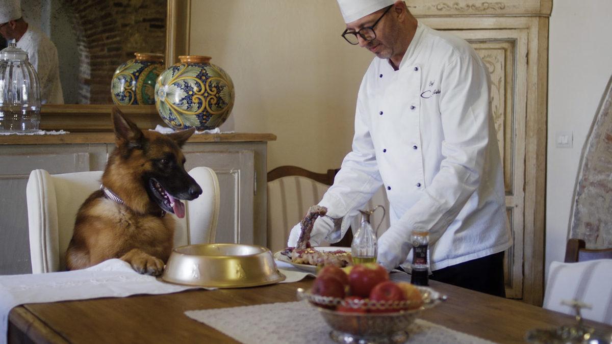 Bir Köpek, Madonna’nın Evi Dahil Birçok Şeyi Satın Alarak Nasıl Dünyanın En Zengin Köpeği Olabildi? Dönen Dolaplara İnanamayacaksınız!