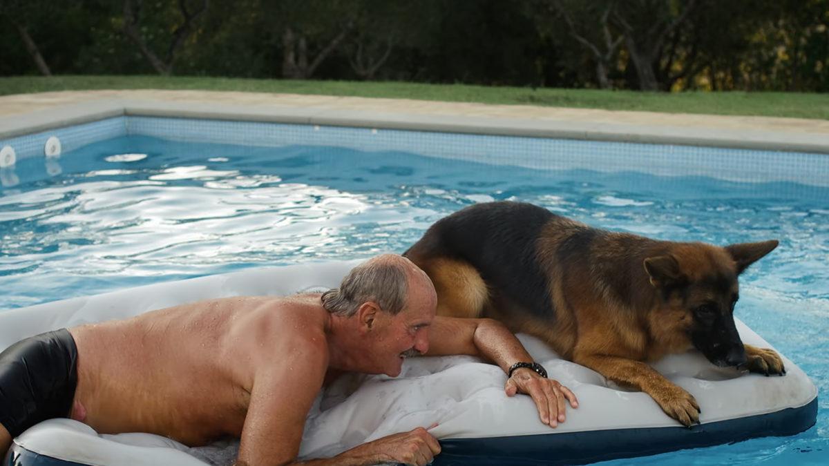 Bir Köpek, Madonna’nın Evi Dahil Birçok Şeyi Satın Alarak Nasıl Dünyanın En Zengin Köpeği Olabildi? Dönen Dolaplara İnanamayacaksınız!