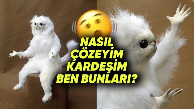 Bu Zamana Kadarki Testlere Kolay Diyenler İçin En Zorunu Hazırladık! İmladan Noktalamaya Kadar Türkçeye Ne Kadar Hakim Olduğunuzu Gösterme Zamanı