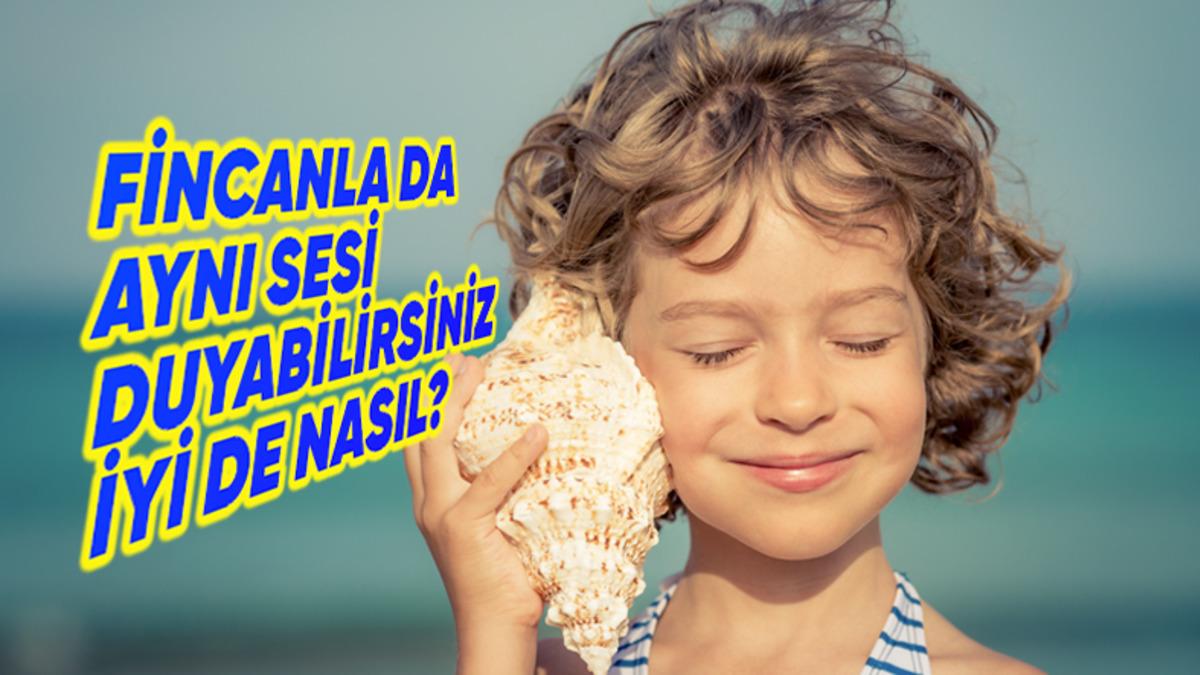 Deniz Sezonu Başlamak Üzereyken Bir Bilgi Daha Cepte: Deniz Kabuklarını Kulağımıza Tutunca Nasıl Oluyor da Dalga Sesi Duyuyoruz?