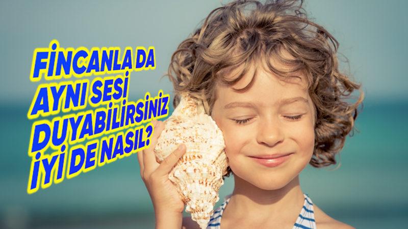 Deniz Sezonu Başlamak Üzereyken Bir Bilgi Daha Cepte: Deniz Kabuklarını Kulağımıza Tutunca Nasıl Oluyor da Dalga Sesi Duyuyoruz?