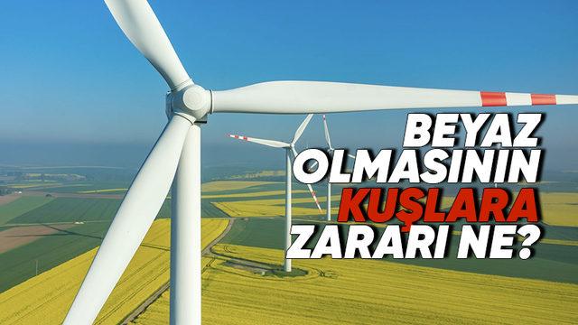 Rüzgâr Türbinleri Neden Beyaza Boyanır? Öğrenince Sebeplerine Çok Hak Vereceksiniz!
