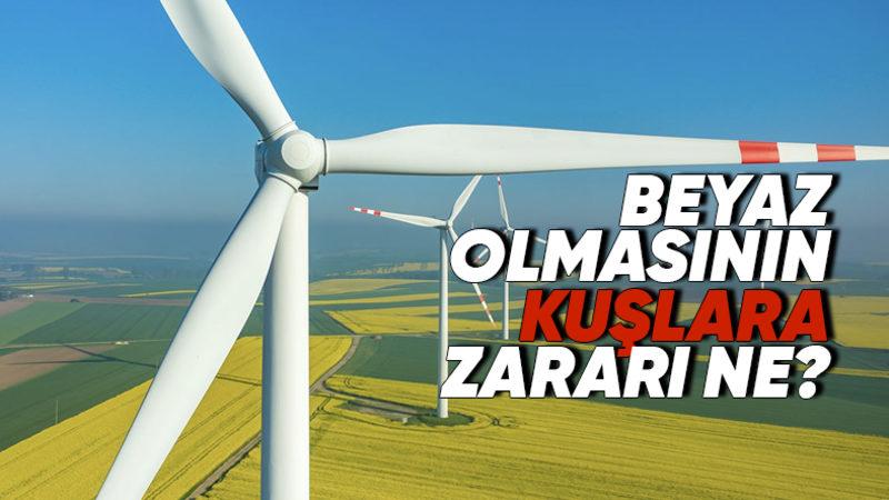 Rüzgâr Türbinleri Neden Beyaza Boyanır? Öğrenince Sebeplerine Çok Hak Vereceksiniz!