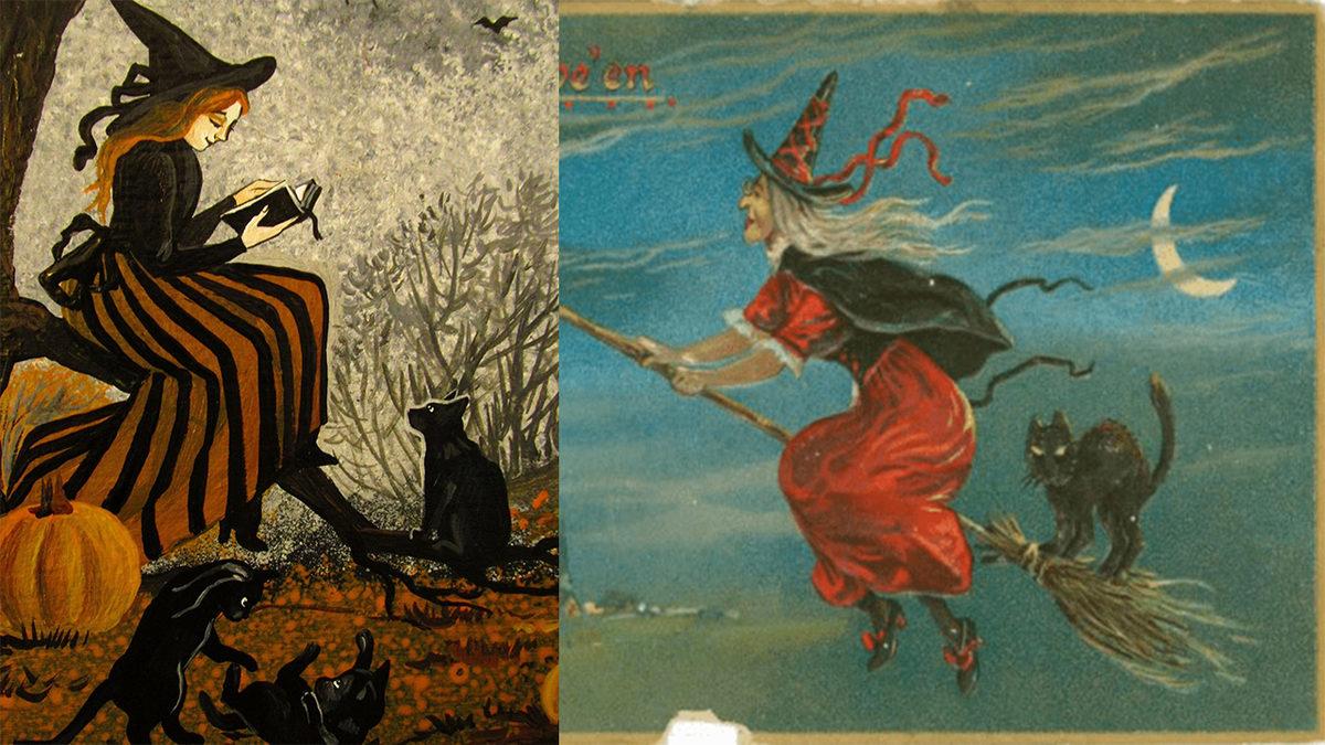 Siyah Kediler Neden Şanssızlığın Sembolü Olarak Görülür? Kökeni, Orta Çağ’a Dayanıyor!