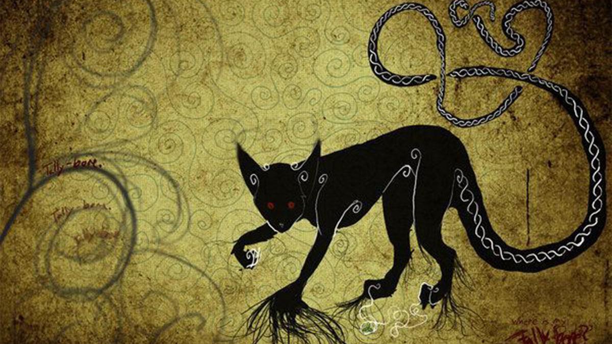 Siyah Kediler Neden Şanssızlığın Sembolü Olarak Görülür? Kökeni, Orta Çağ’a Dayanıyor!