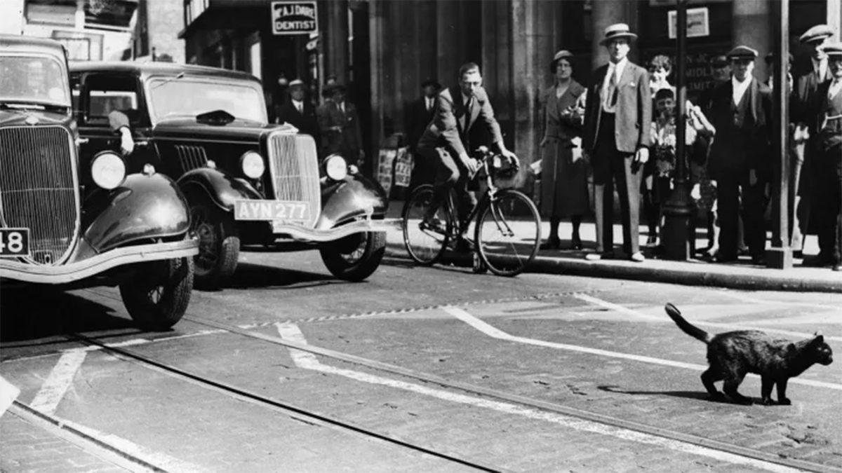 Siyah Kediler Neden Şanssızlığın Sembolü Olarak Görülür? Kökeni, Orta Çağ’a Dayanıyor!