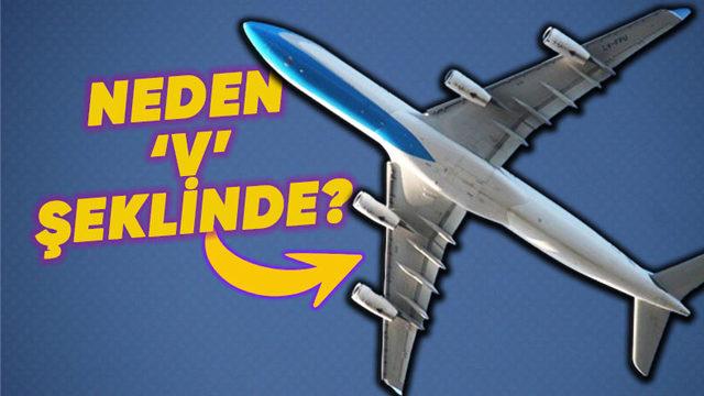 Uçak Kanatları Neden V Şeklindedir? Basit Ama Çok Etkili Bir Sebebi Var!