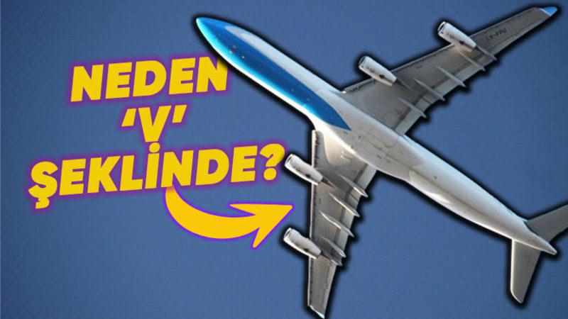 Uçak Kanatları Neden V Şeklindedir? Basit Ama Çok Etkili Bir Sebebi Var!
