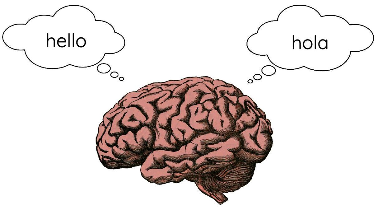 İki Farklı Dilin Konuşuru Olduğunuzda Beyninizin Yarattığı Harikaları Öğrenince Soluğu Dil Kursunda Alacaksınız!