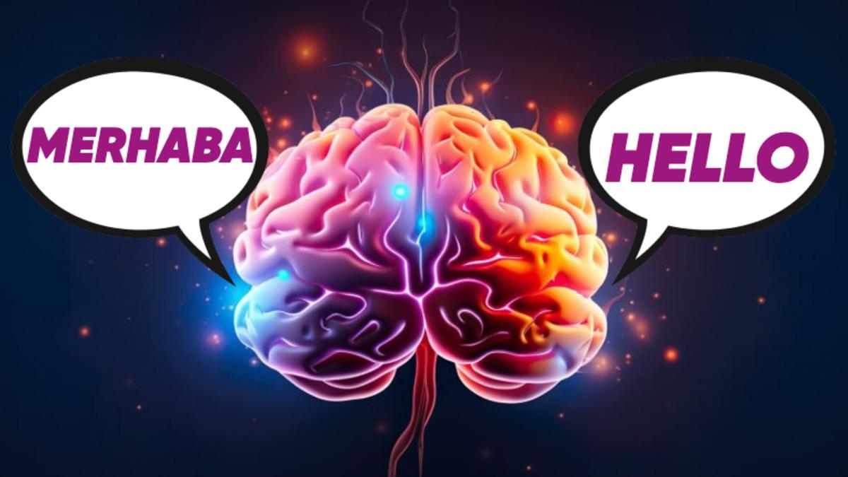 İki Farklı Dilin Konuşuru Olduğunuzda Beyninizin Yarattığı Harikaları Öğrenince Soluğu Dil Kursunda Alacaksınız!