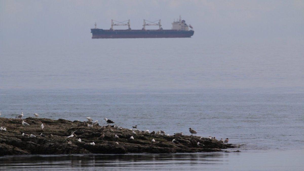 Gemilerin Denizin Üzerinde Değil de Havada İlerliyormuş Gibi Gözükmesine Sebep Olan Fata Morgana Etkisi Nedir?