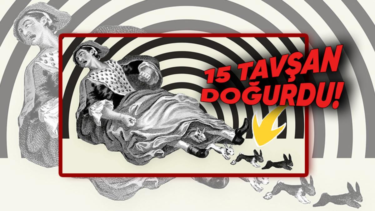 Bir Kadın, Herkesi Tavşan Doğurduğuna Nasıl İnandırdı? Gerçekleri Öğrendikten Sonra Mideniz Kalkacak!