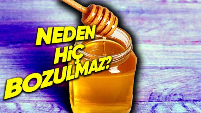 Tüm Yiyeceklerin Bir Ömrü Varken Bal Neden Bozulmuyor?