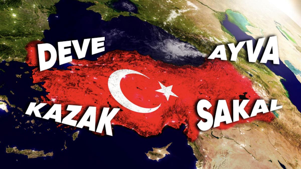 Meğerse Türkçeymiş! Rusça ve İngilizce Dahil Olmak Üzere Farklı Dillere Geçen 10 Kelimemiz