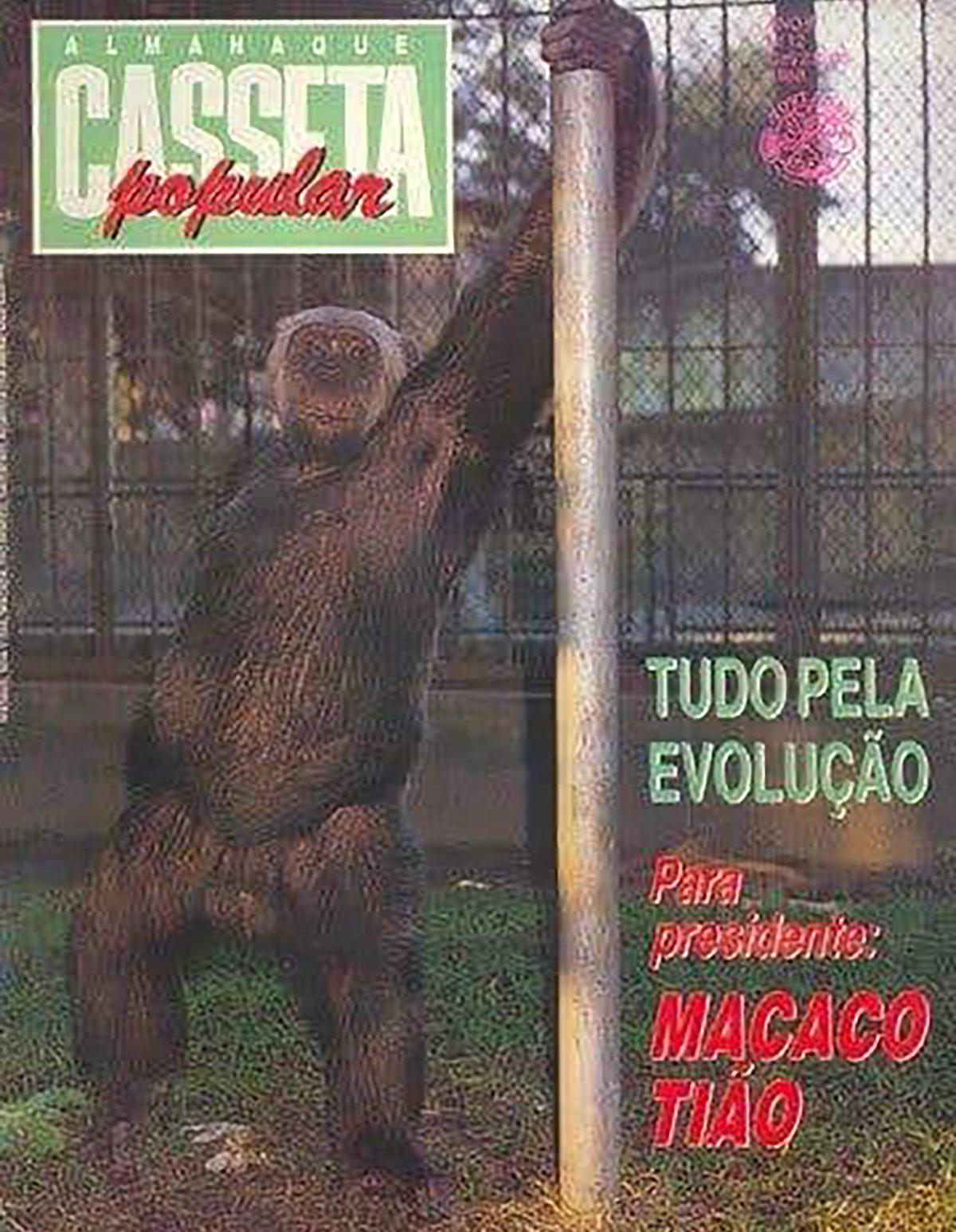 Brezilyalı Bir Maymun Nasıl Oldu da Belediye Başkanlığı Seçimlerinde Yaklaşık Yarım Milyon Oy Aldı?