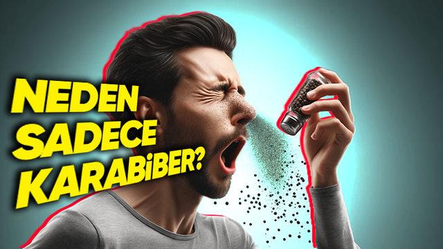 Tüm Baharatların Aksine Karabiber Neden Deli Gibi Hapşırmamızı Sağlıyor?