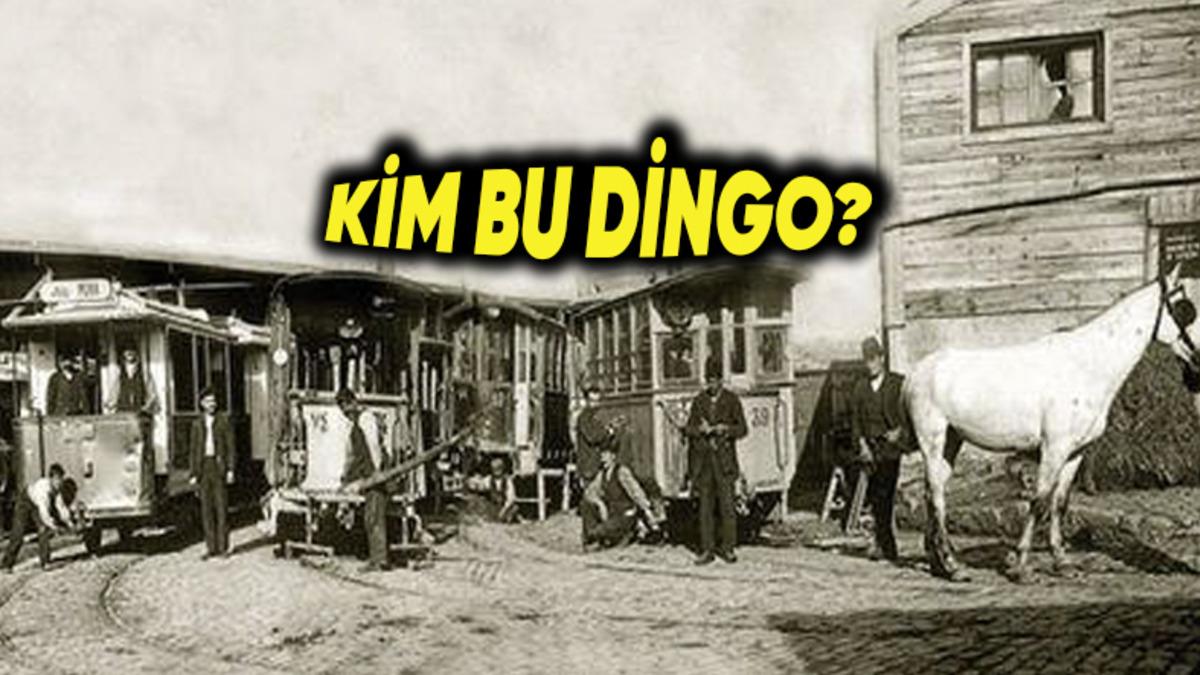 “Dingo’nun Ahırı” Deyiminin 1800’lerin İstanbul’una Dayanan İlginç Hikâyesi