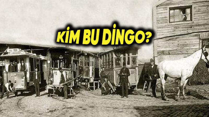 “Dingo’nun Ahırı” Deyiminin 1800’lerin İstanbul’una Dayanan İlginç Hikâyesi