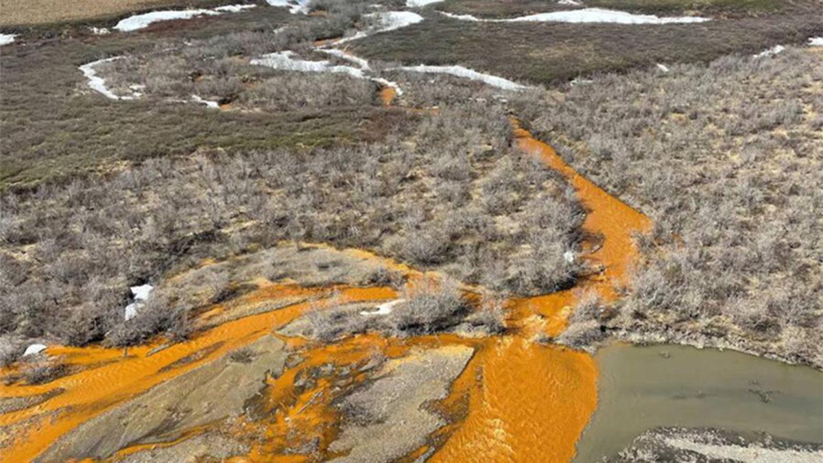 Alaska’daki Onlarca Nehre Ne Oldu da Aniden Turuncu Rengine Bürünmeye Başladı?
