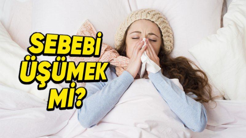 Üşümek Bizi Gerçekten Hasta Eder mi? Cevap, Düşündüğünüzden Epey Farklı!