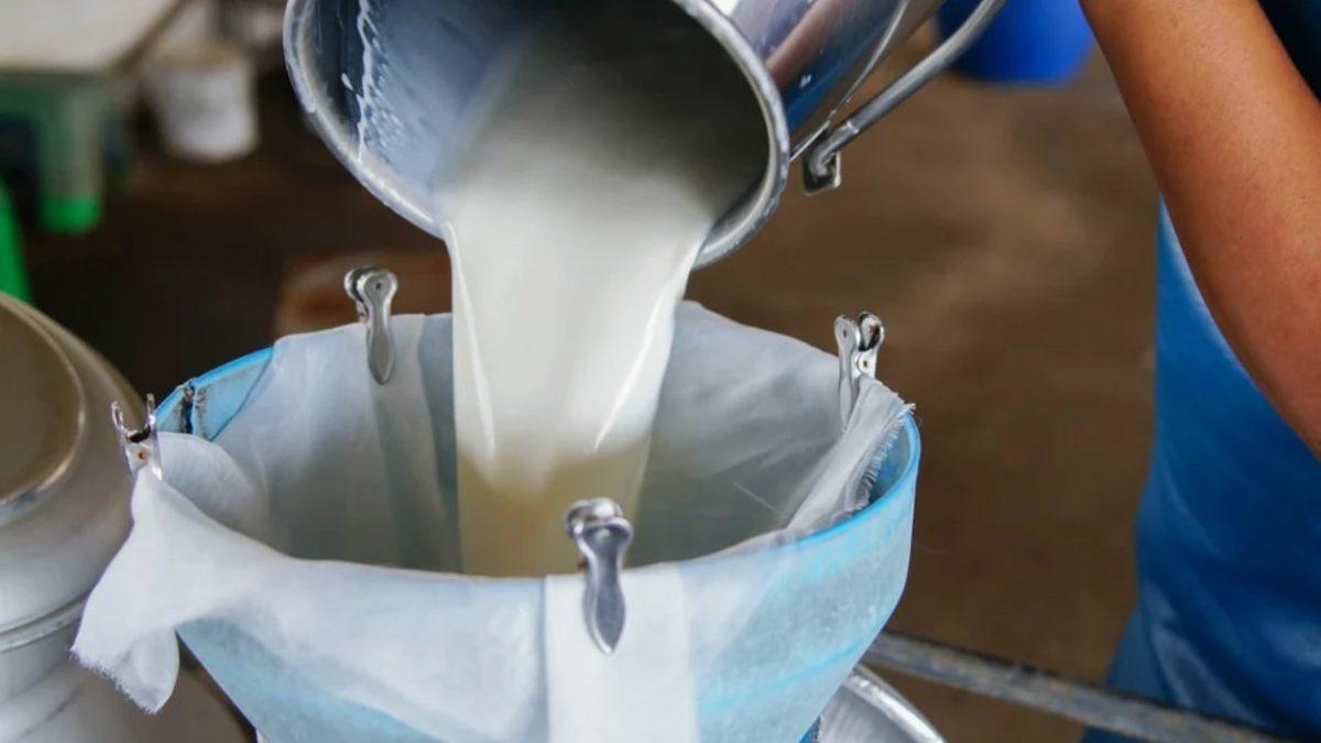 Bilime Göre Neden Çiğ Süt İçmemeliyiz?