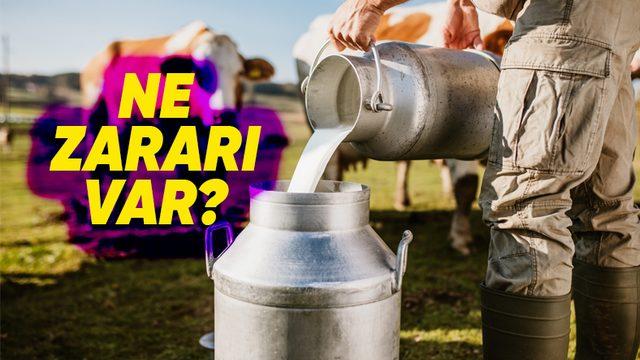 Bilime Göre Neden Çiğ Süt İçmemeliyiz?