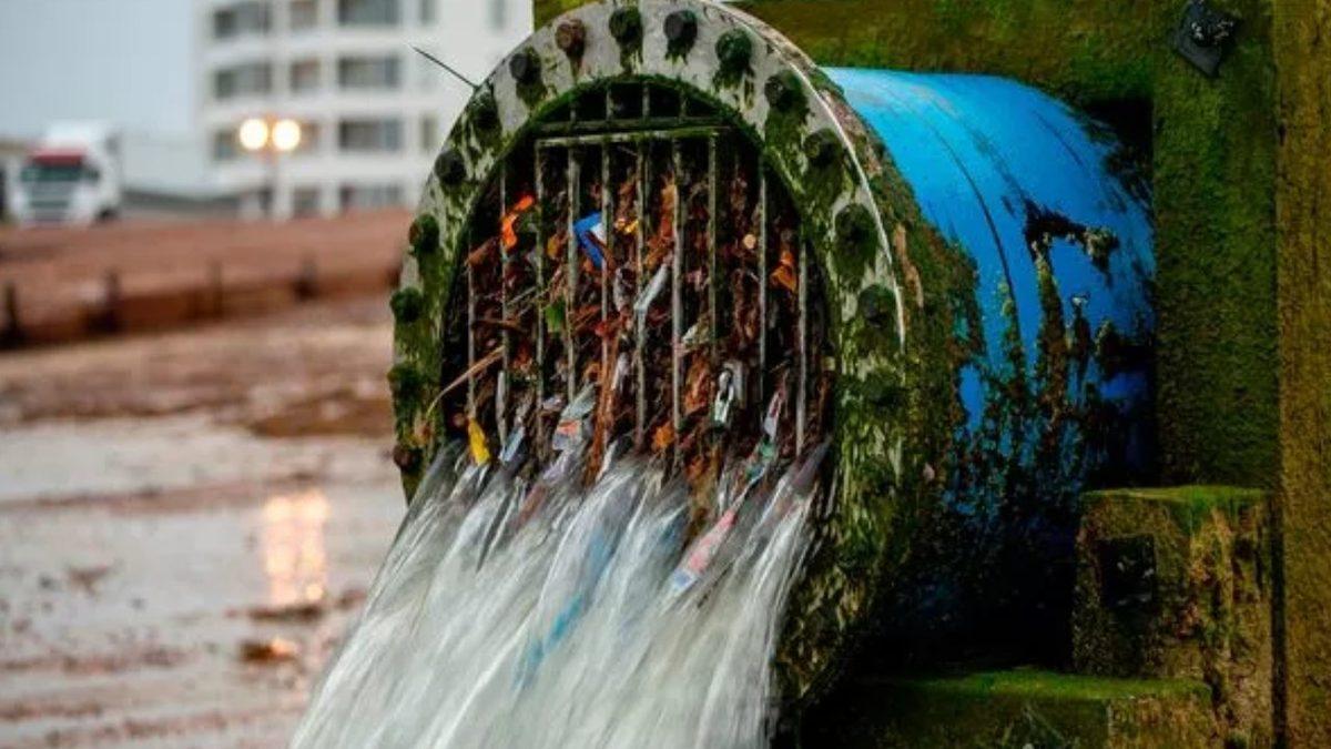 Dışkınızdan Altın Çıkarmanızın Mümkün Olduğunu Öğrenince Sifonu Çekmek İstemeyeceksiniz!