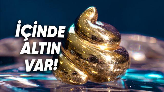Dışkınızdan Altın Çıkarmanızın Mümkün Olduğunu Öğrenince Sifonu Çekmek İstemeyeceksiniz!
