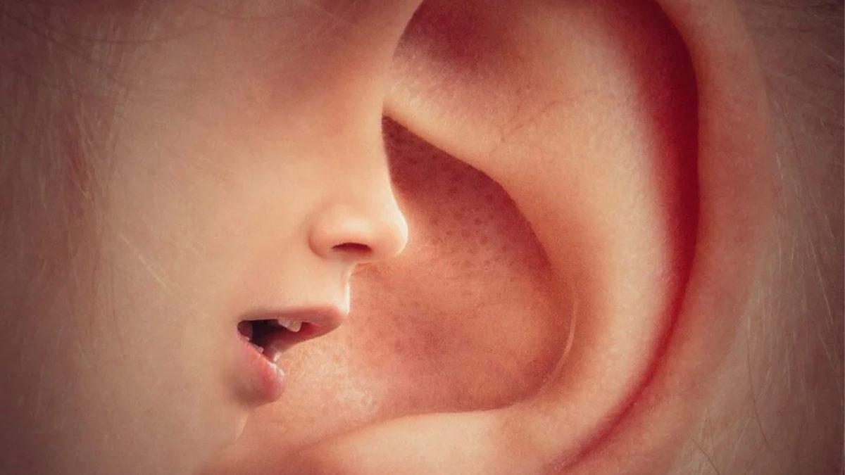 Beynimizde Neden Bazen Rastgele Bir Şekilde Bazı Sesler Duyarız? Hayır, Şizofreni Alameti Değil!