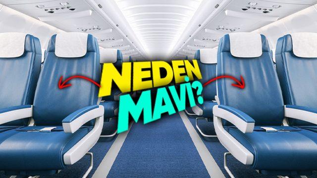 Uçak Koltuklarının Hep Mavi Renkte Olmasının Hiç Tahmin Edemeyeceğiniz Sebebi