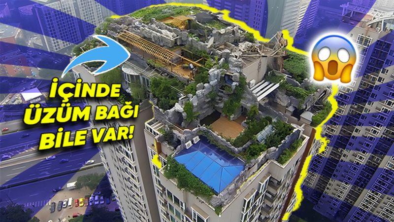 Kaçak Katın Böylesi: Gökdelen’in Tepesine Gizlice Malikâne İnşa Eden Çılgın Profesör’ün Hikâyesi