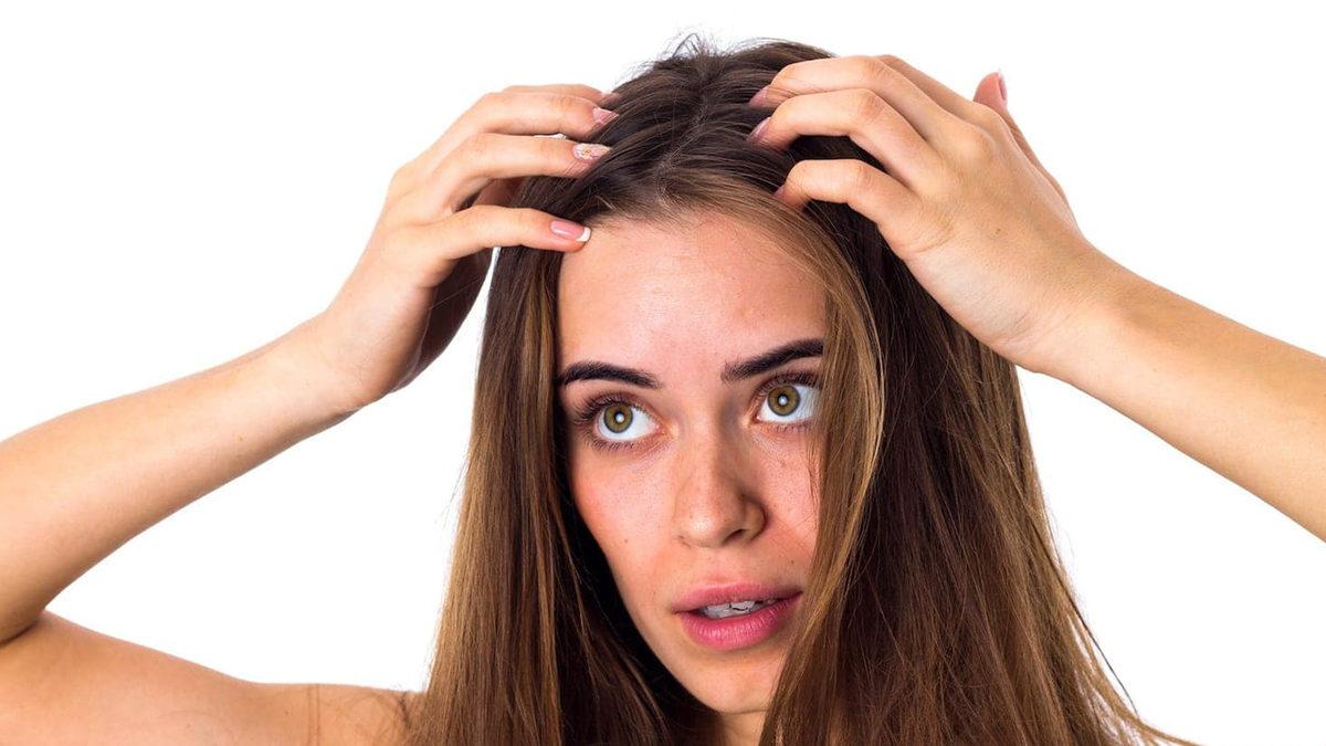 İşsizlikten Değil Meraktan: Kafamızdaki Saçları Saymamız Mümkün mü? (Denemesi Bedava)