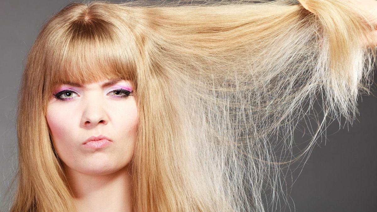 İşsizlikten Değil Meraktan: Kafamızdaki Saçları Saymamız Mümkün mü? (Denemesi Bedava)