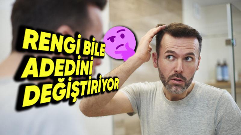 İşsizlikten Değil Meraktan: Kafamızdaki Saçları Saymamız Mümkün mü? (Denemesi Bedava)