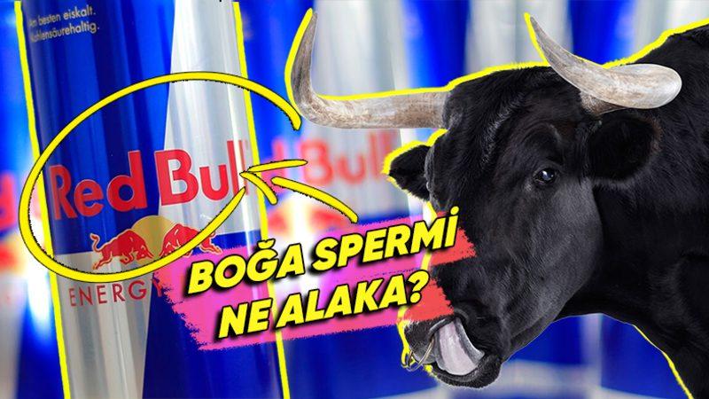 Ünlü Markalar Hakkında Ortaya Atılmış Bu Asılsız İddiaları Duyunca “Yok Artık Daha Neler!” Diyeceksiniz!