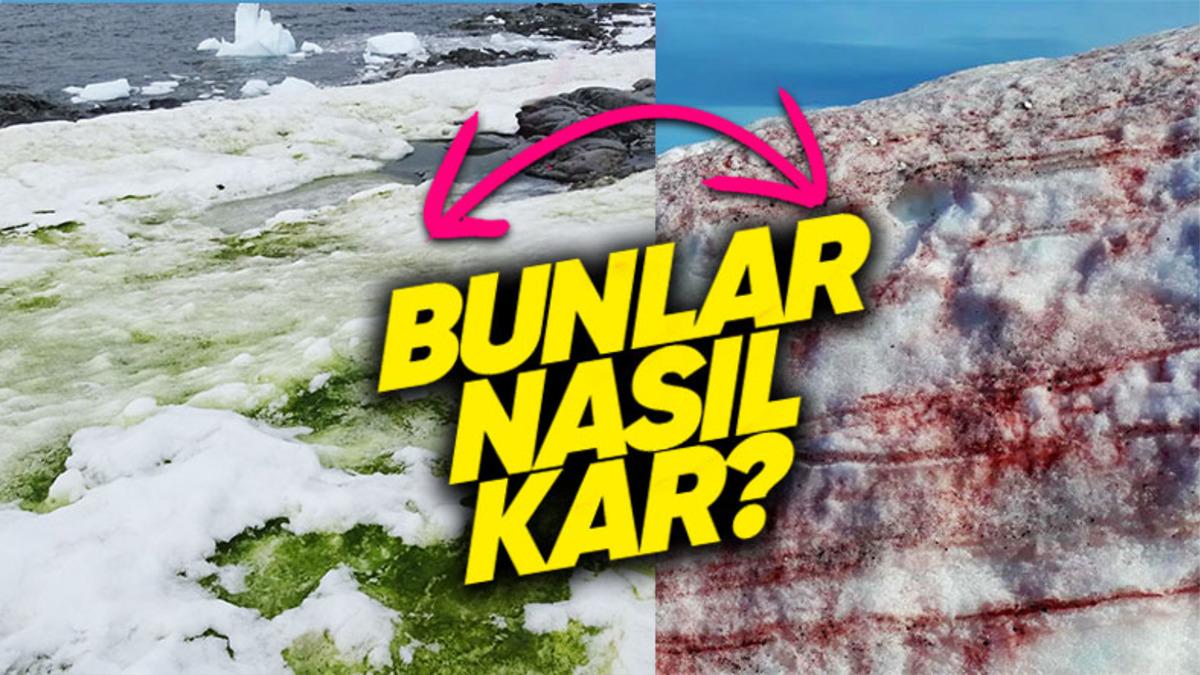 Gariplikleriyle Dünya Dışından Bir Yermiş Gibi Hissettiren Antarktika’ya Kırmızı ve Yeşil Renkte Kar Yağmasının Düşünmek Bile İstemeyeceğiniz Sebebi