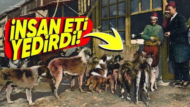 Osmanlı’da Köpeklerini İnsan Etiyle Besleyen Haydut Hamza’nın Kan Donduran Hikâyesi